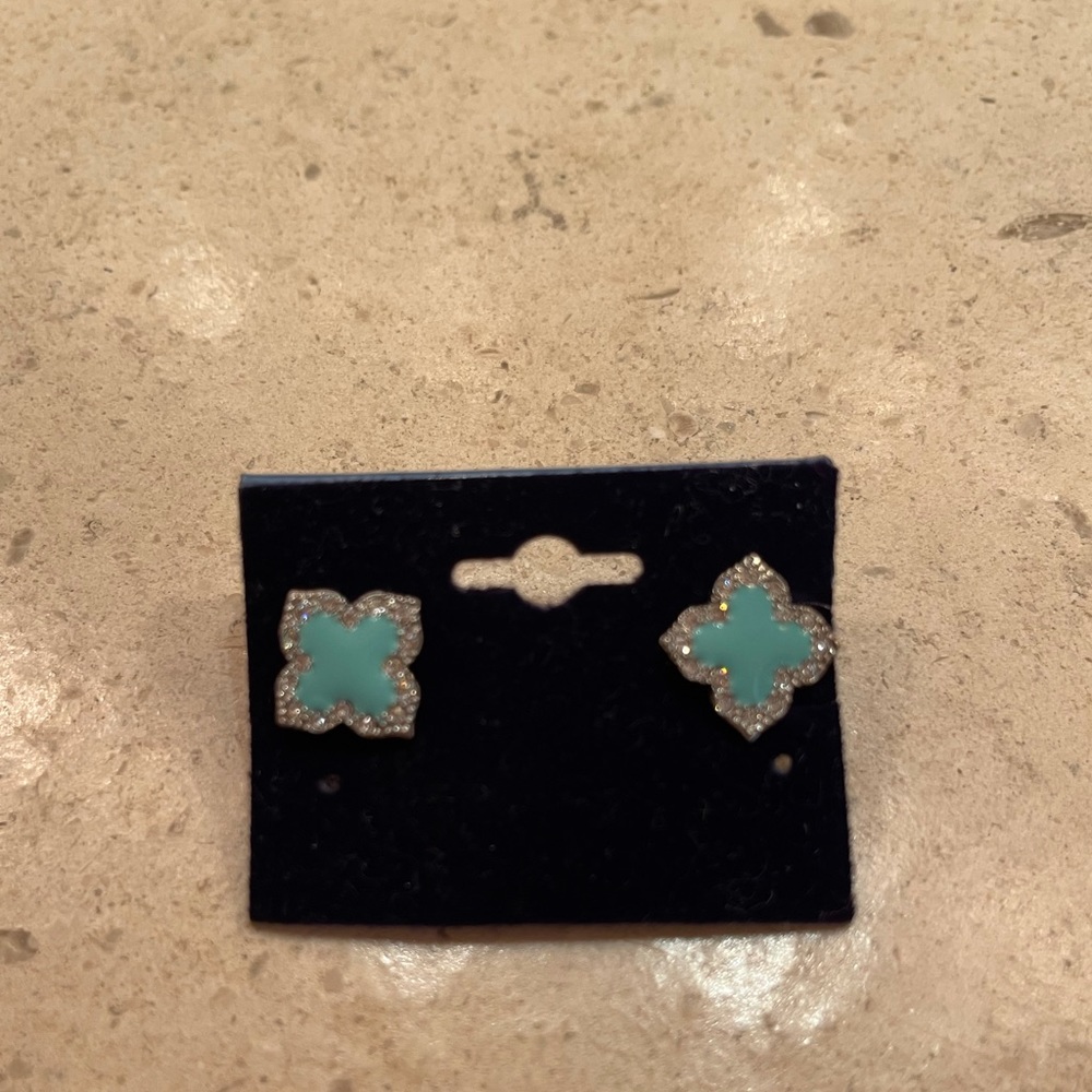 Aqua Earrings